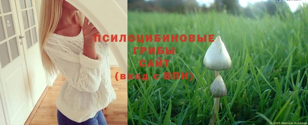 гашишное масло Медвежьегорск