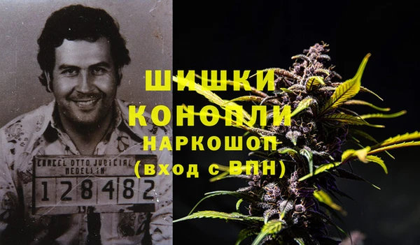 ALPHA PVP Мегион