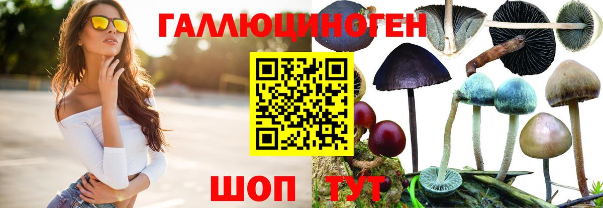 Галлюциногенные грибы мицелий Сосновый Бор