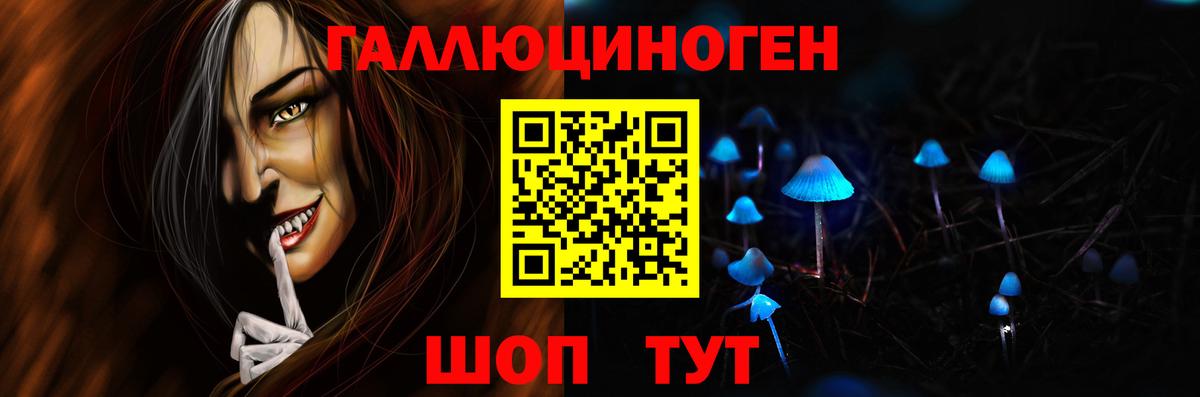 Сосновый Бор  Псилоцибиновые грибы MAGIC MUSHROOMS  Вход с VPN 